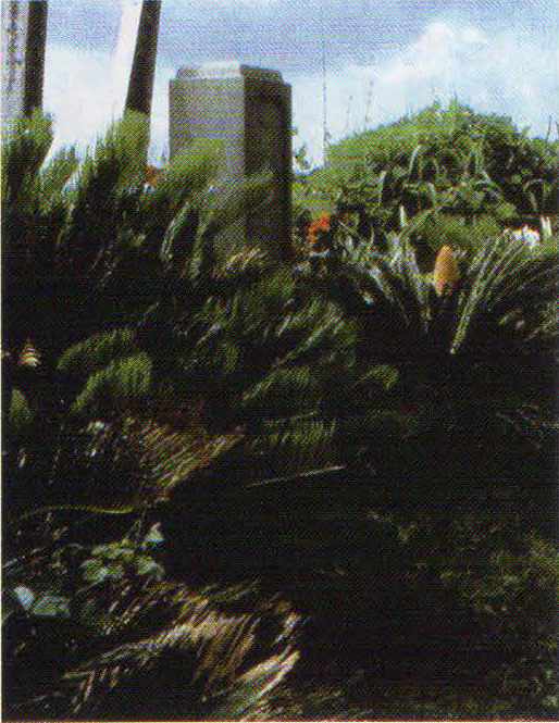 生島新五郎の墓